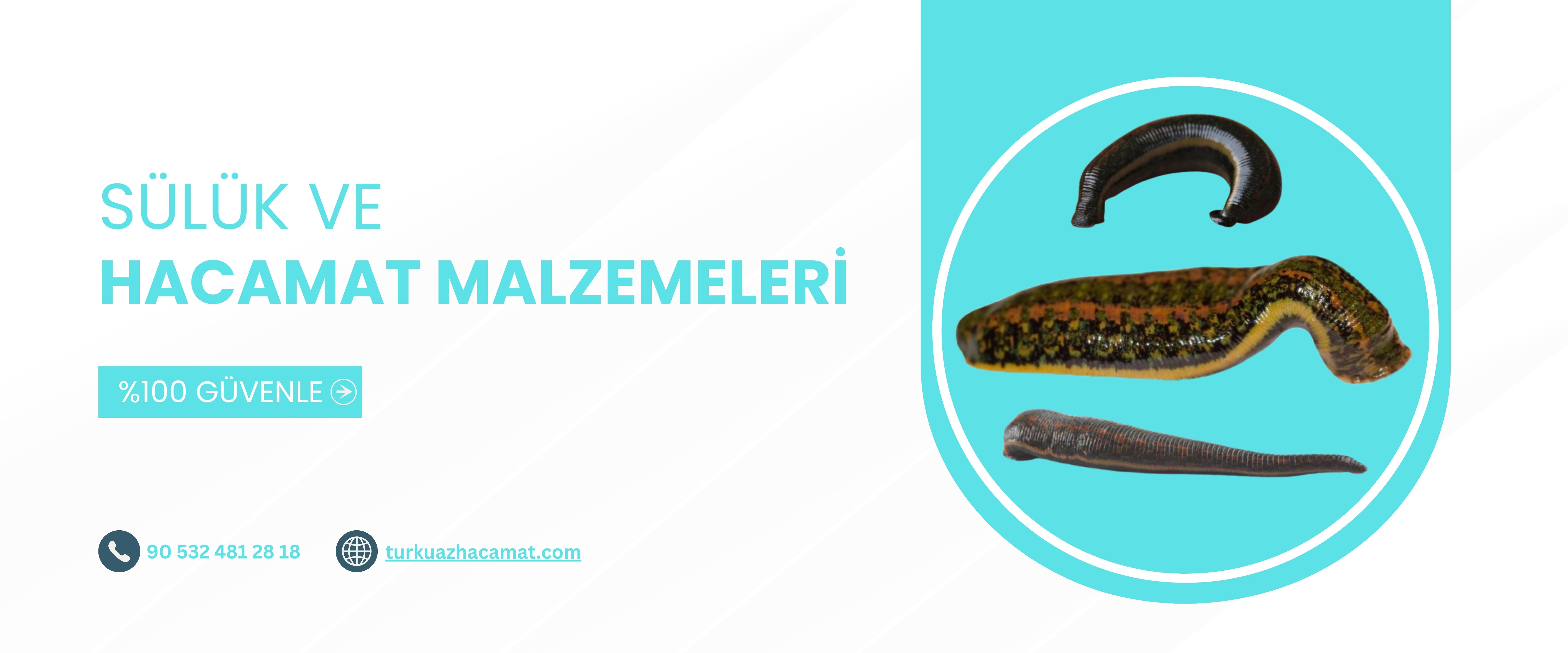 hacamat ve sülük